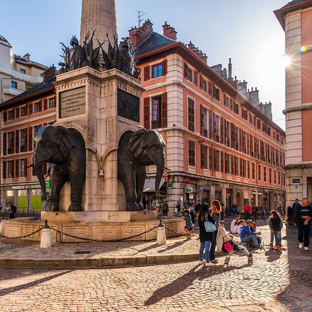 Promenade Confort : En suivant les éléphants
