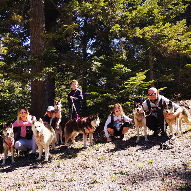 Cani-rando - Passion traineau