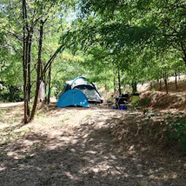 Camping Bellevue