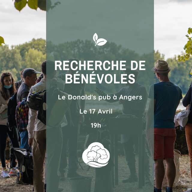 Actions bénévoles