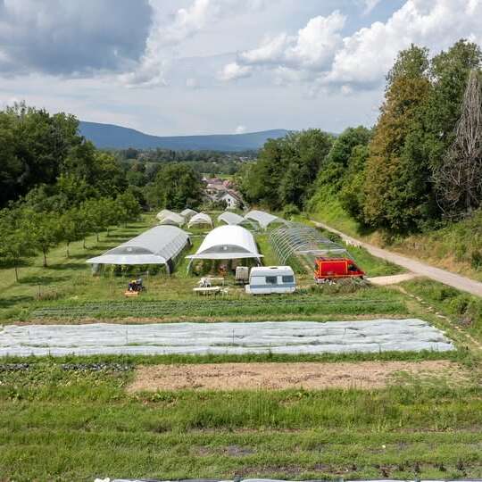 Les Pieds dans le Local®, spécial producteurs ! Visite d'exploitation : Choupatates