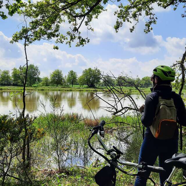 Itinerary L'Ain à Vélo - The Dombes and its thousand ponds