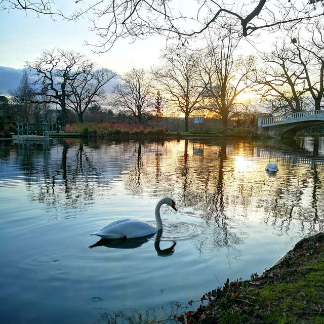 Grand lac des Ibis