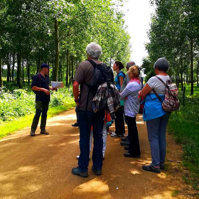 Stage 1/2 journée: Plantes sauvages comestibles