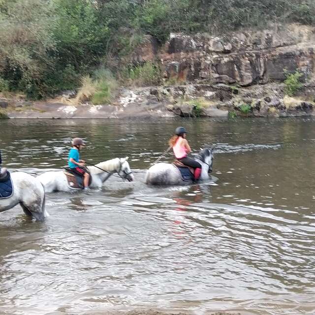 Balades à cheval au bord de l'Allier