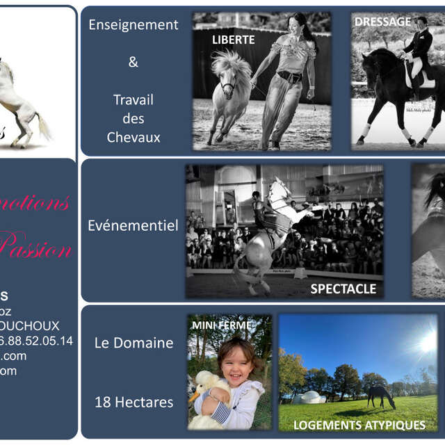 Equi'coaching aux écuries Les Éternelles