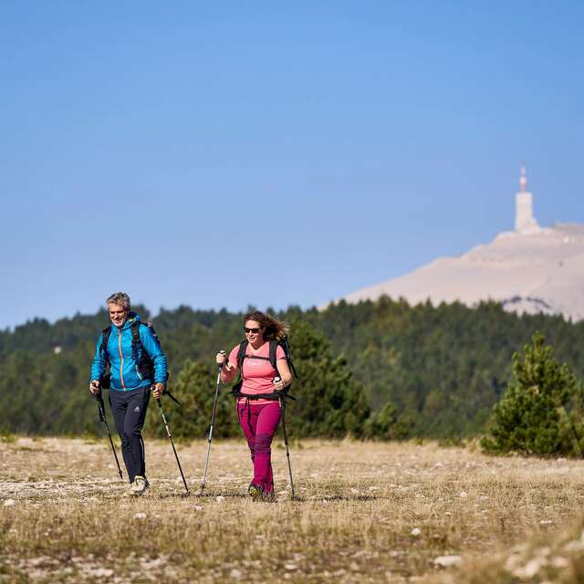 BEDOIN - Les crêtes du Mont-Ventoux