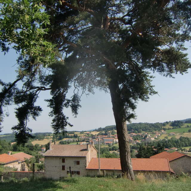 Aire de service et de stationnement camping-car