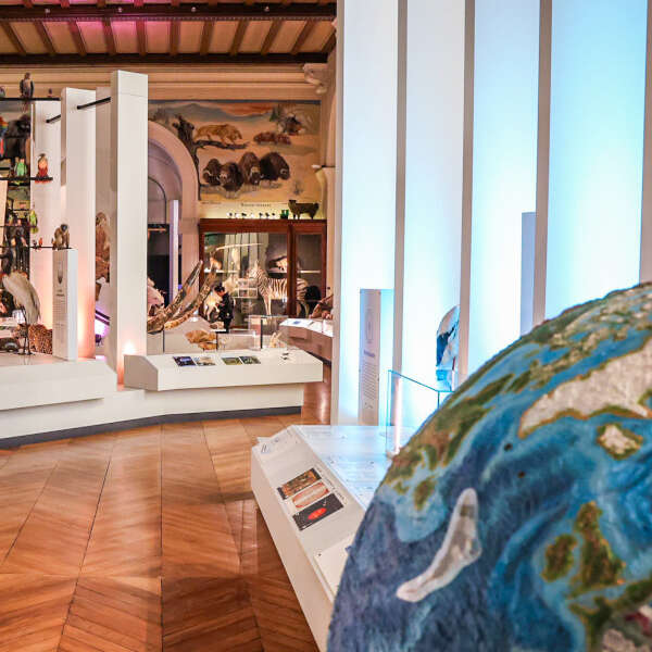 Escape game au Muséum