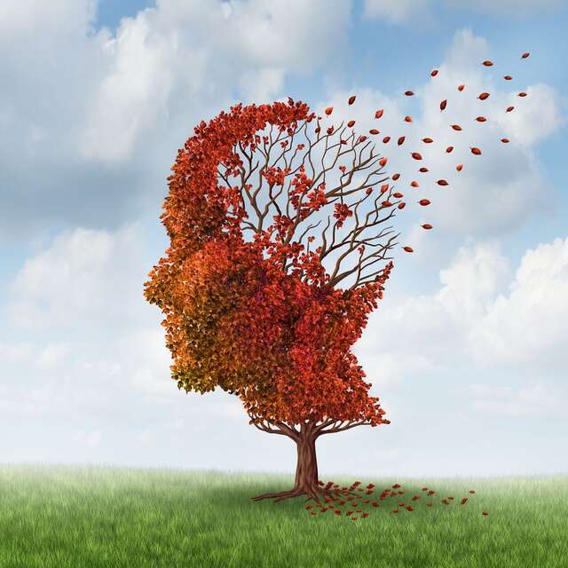 Mieux connaître la maladie d’Alzheimer