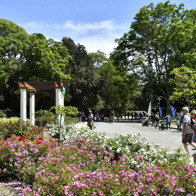 Borély Park