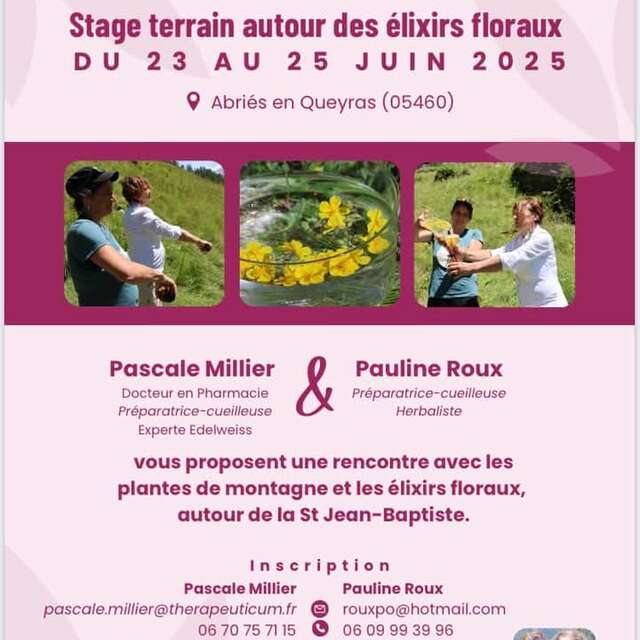 Stage terrain autour des Elixirs Floraux en Queyras