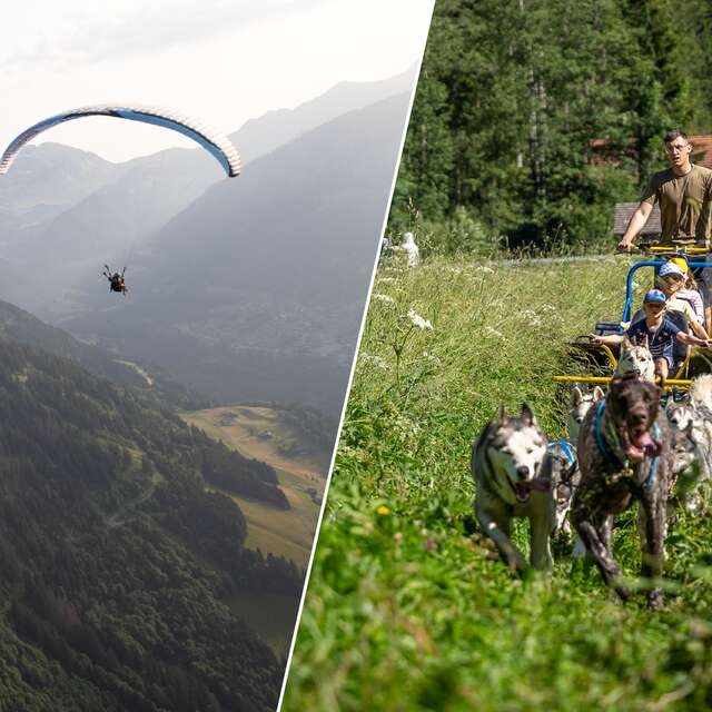 Paragliding & Sled dogs/Cani-Kart