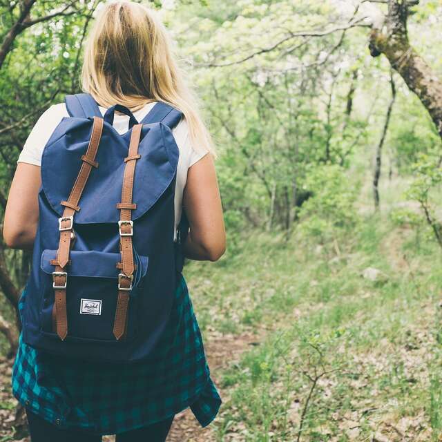Sortie nature | Carnet de terrain de la petite souris
