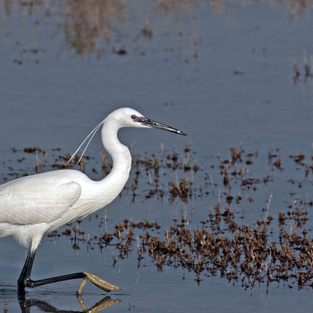 BALADE NATURE EN BORD DE LOIRE