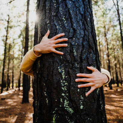 Pause nature et ressourcement