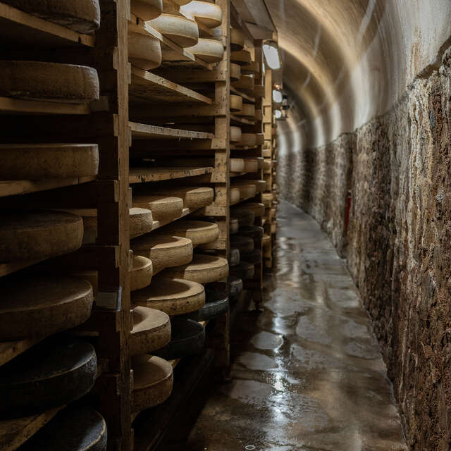 Visite et Degustation au Tunnel de la Collonge -  Mons Fromager Affineur