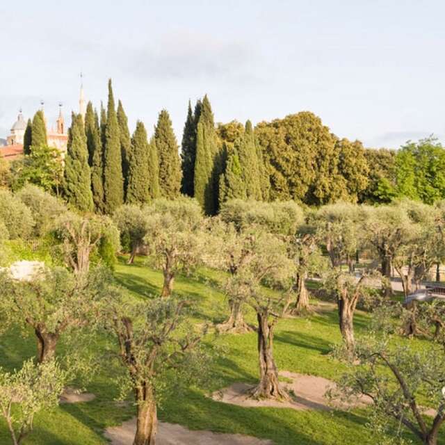 Jardin des Arènes de Cimiez