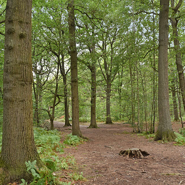 Promenade naturaliste au Trou d'Enfer