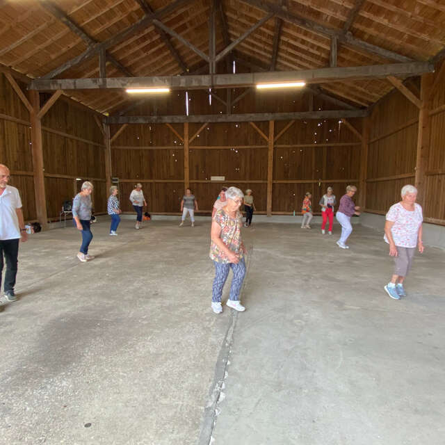 Cours de danse en ligne