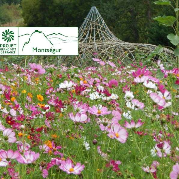 Jardin extraordinaire, vision artistique du Grand Site