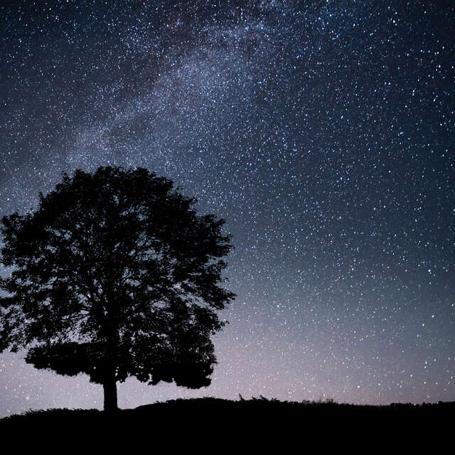 Nuit des étoiles