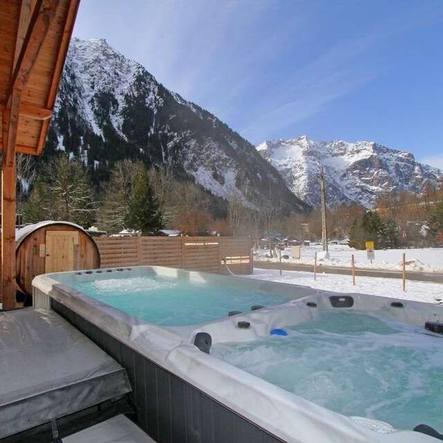 CHALET L'ORCHIDEE (Venosc Village) - Chalet 12 personnes
