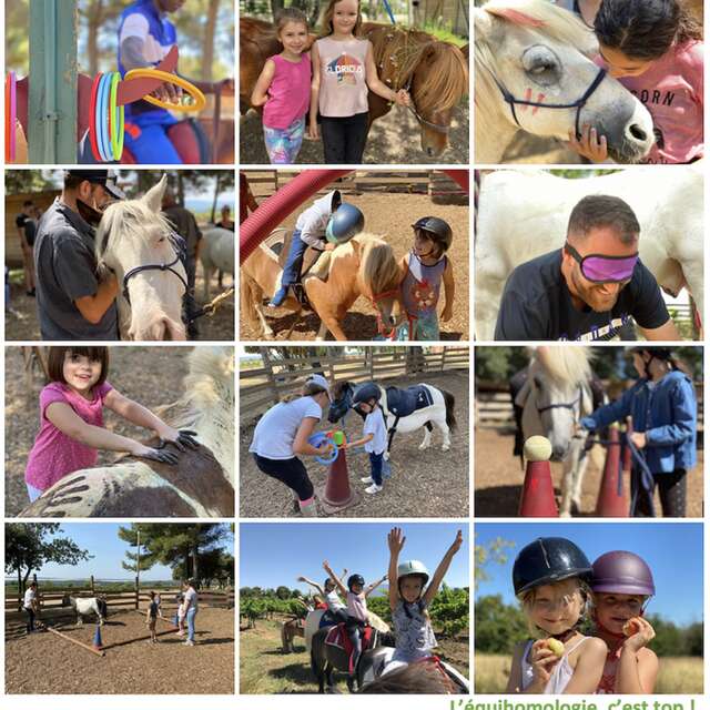 Course d'orientation à poney
