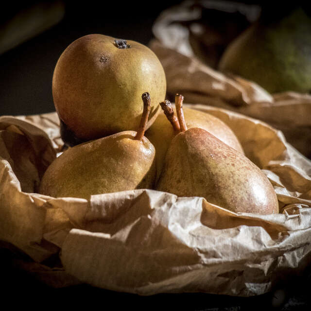 23ème Marché aux Fruits Anciens