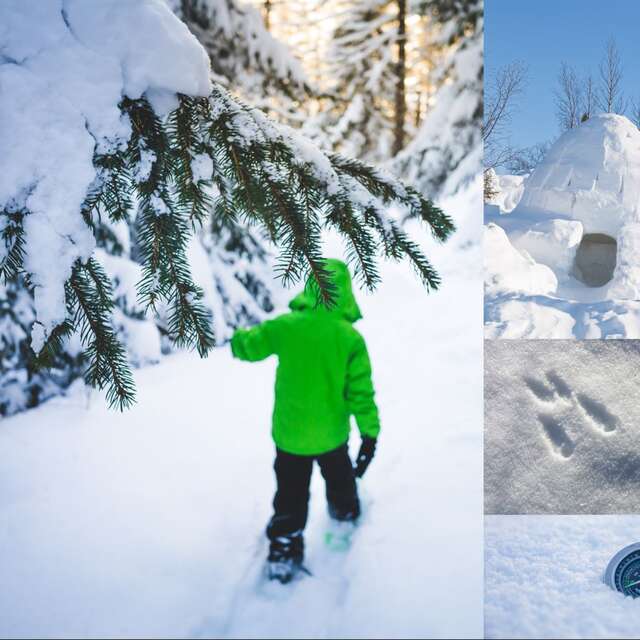Après-midi raquettes mini trappeur