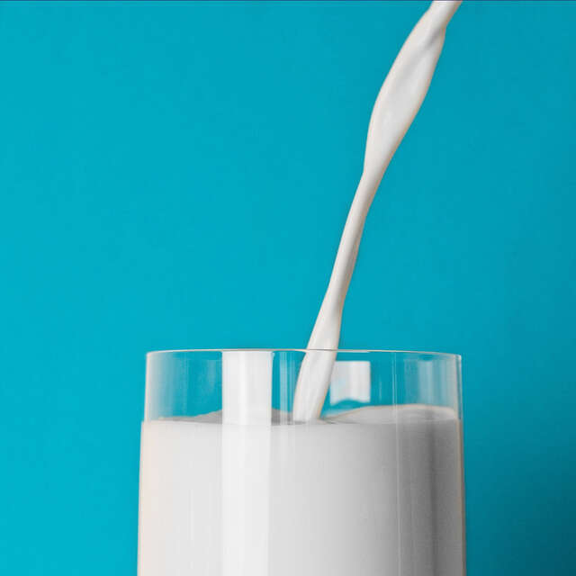 Atelier-repas - Le lait est-il si vache ?