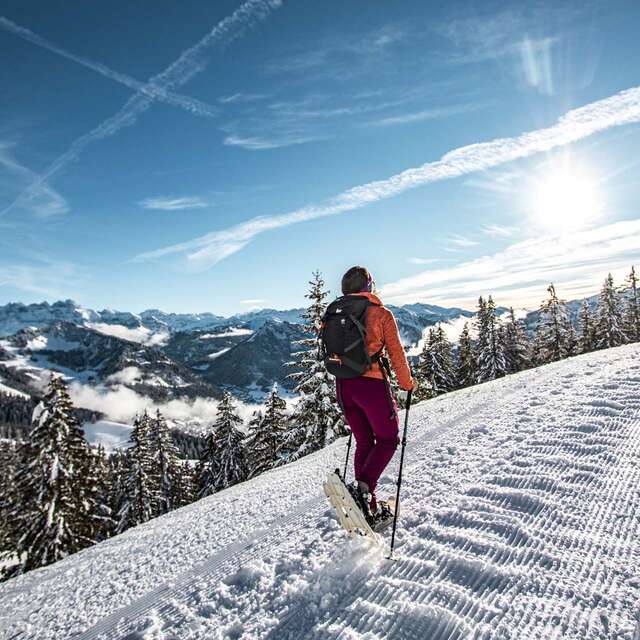 Snowshoe trail - Portes de Culet