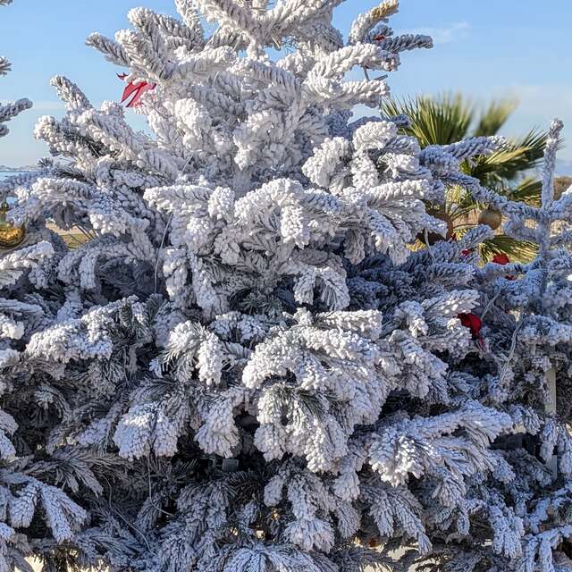 Noël féerique quartier Notre-Dame du Mont