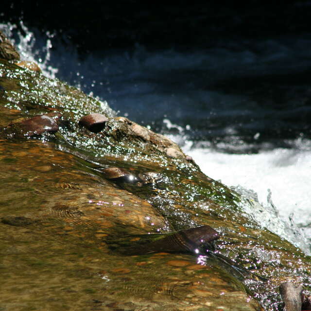 Moutainbike cycling trail N° 9