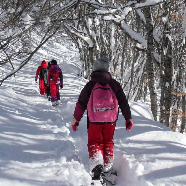 Randonnée: Traces et indices des animaux en montagne