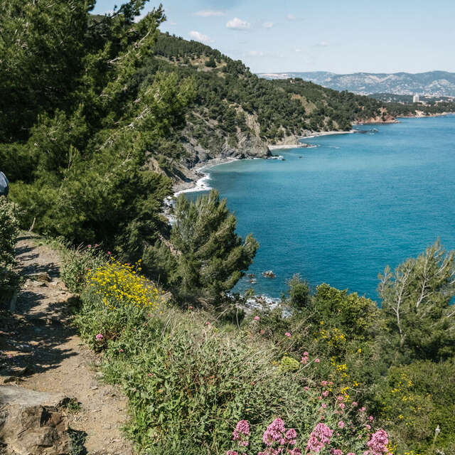 Randonnée sur le sentier du littoral à La Seyne