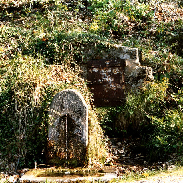 La Fontaine des Dragons