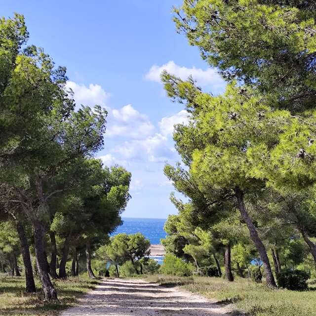 Histoire et paysages : exploration des vestiges militaires de Martigues