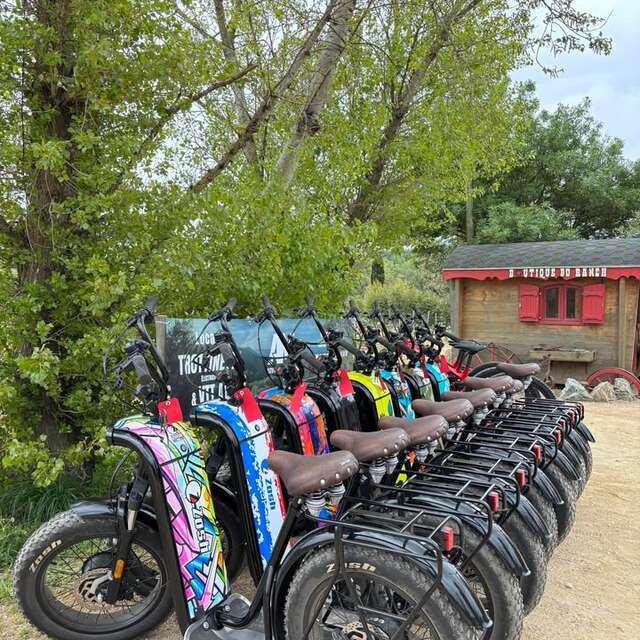 AM  ADVENTURE