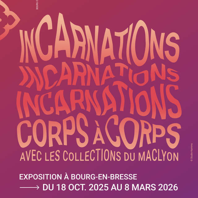 BROU - Exposition Incarnations, corps à corps avec les collections du macLYON
