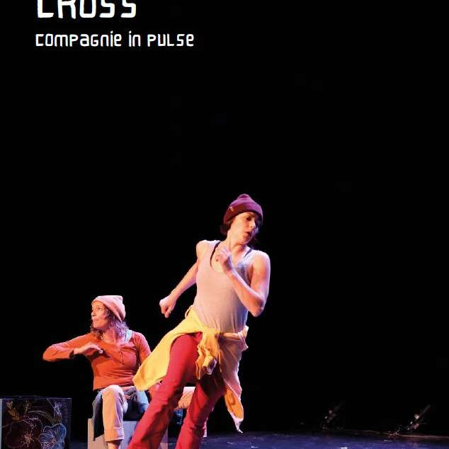 Théâtre - danse cross compagnie in pulse