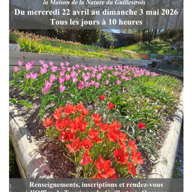 Visit of the tulip garden