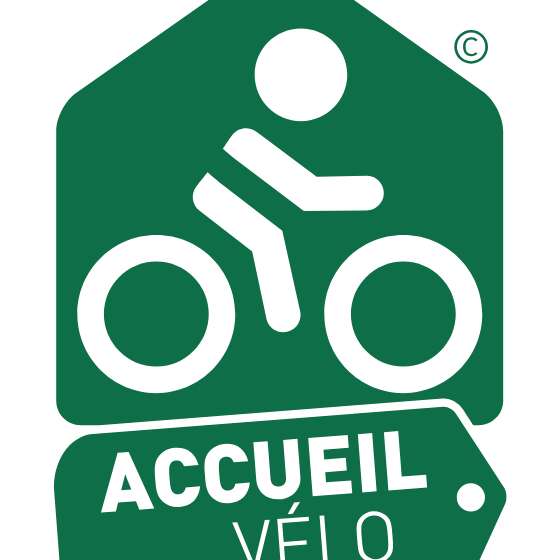 Stations Bees - L'Expérience vélo