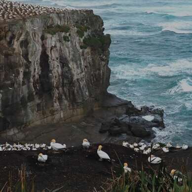 Document Terre - Nouvelle Zélande