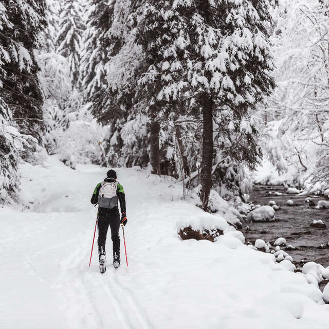 Piste bleue "La Jaune" (parcours initiatique) / Rando-Parc Morgins
