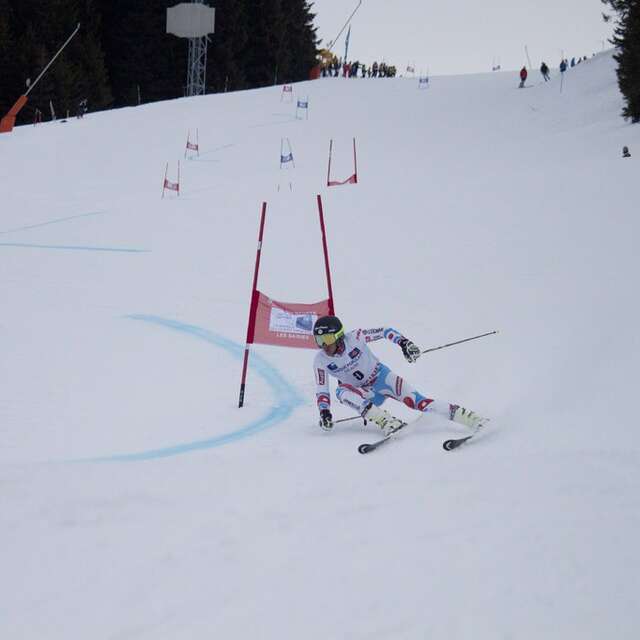 FIS ALPIN DAMES