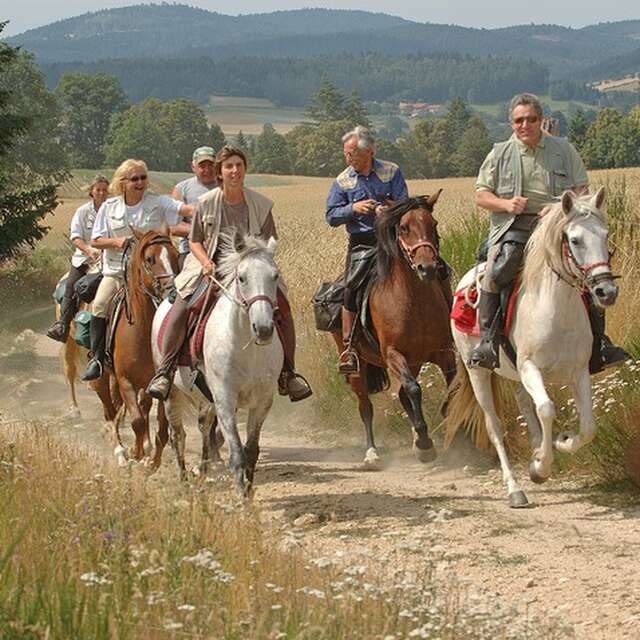Circuit "les cornes d'Urfé"