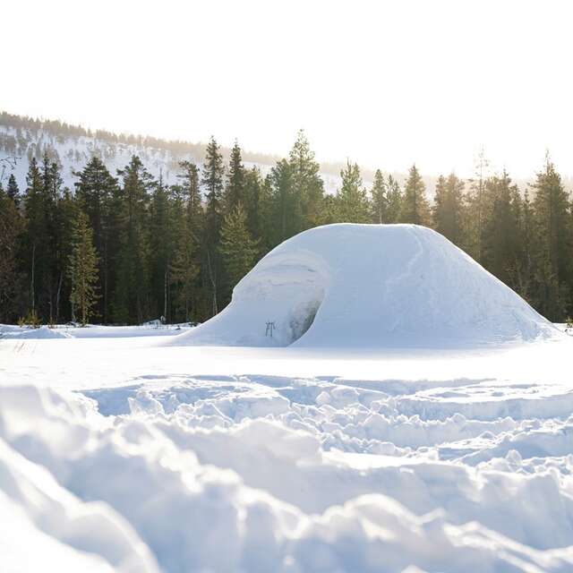 Soir'igloo