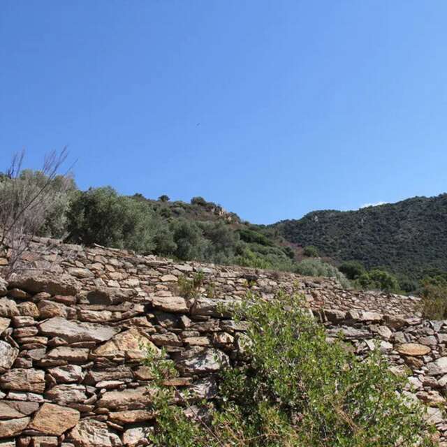 Visite guidée Restanques de Saint-Clair - Journées Européennes du Patrimoine
