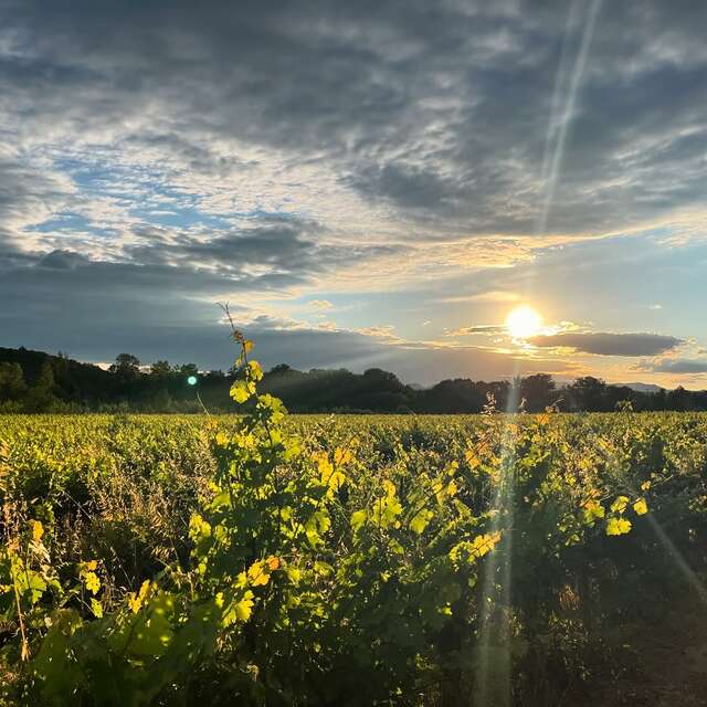 Brasero & Vin au Domaine de l'Ancien Prieuré